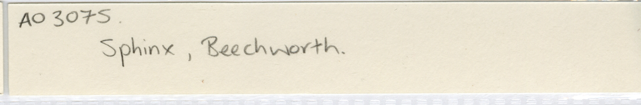 Handwritten text that reads A0 3075/ Sphinx , Beechworth.
