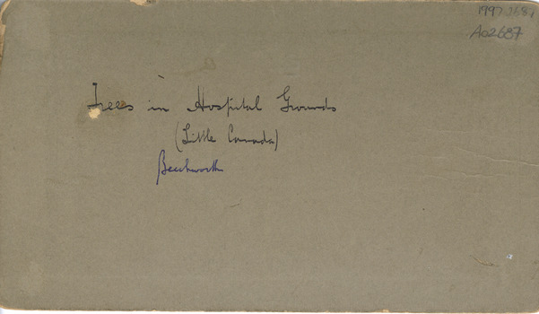 Handwritten text reading "1997.2687
A02687
Trees in Hospital Grounds
(Little Canada)
Beechworth"