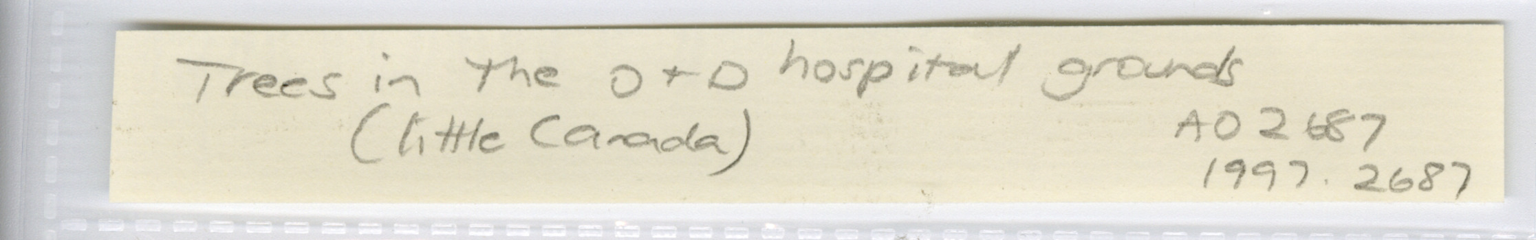 Handwritten text reading "Trees in the O+D hospital grounds (little Canada) 
A02687 
1997.2687"
