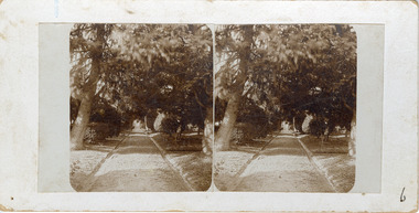 Gravel pathway running straight up the middle of the photo with paved gutters down each side. Trees and bushes on each side joining overhead. Small section of building with window visible at the end of the path.