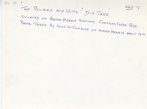 Handwritten notes about the photograph