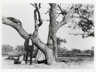 A black and white copy of a photograph of a suited man wearing a hat standing in front of a sprawling tree.