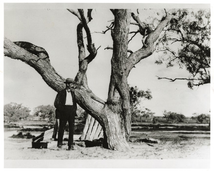 A black and white photograph of a suited man wearing a hat standing in front of a sprawling tree.