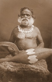 Portrait of Aboriginal man in traditional dress wearing a headband, kangaroo tooth necklace and animal skin cloak, holding a boomerang and carved shield.