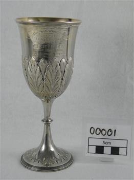 Brighton Horticultural Society 1881-82 Leader Cup