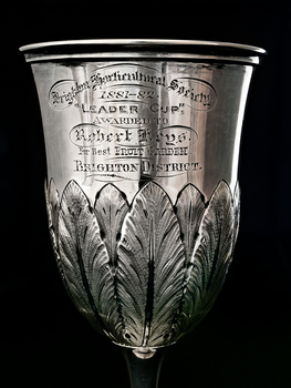 Brighton Horticultural Society 1881-82 Leader Cup
