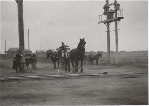 Plateway horse-drawn wagon