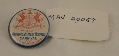 World War 1914 - 1918, Badge fund-raising