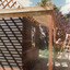 Reconstruction of Box Cottage in Joyce Park February 1984 (1 of 3)