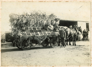 F6  35  MAV  00573  Friendly Society Carnival 1916 Chelt.