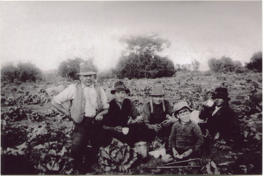 F6  47  MAV 00584  V Peterson  Garden 1925