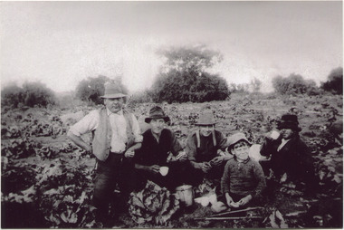 F6  47  MAV 00584  V Peterson  Garden 1925