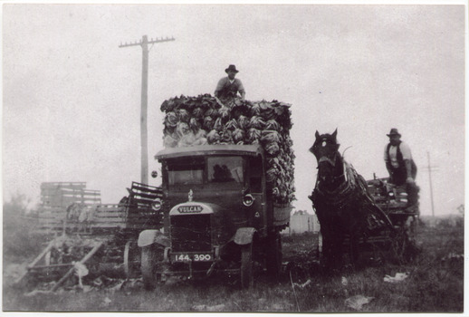 F6 49   MAV 00586 V Peterson