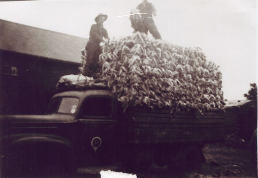 F6 51   MAV 00586 V Peterson