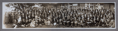 Photograph - B/W  Bentleigh SS No.2083 1930, c1930