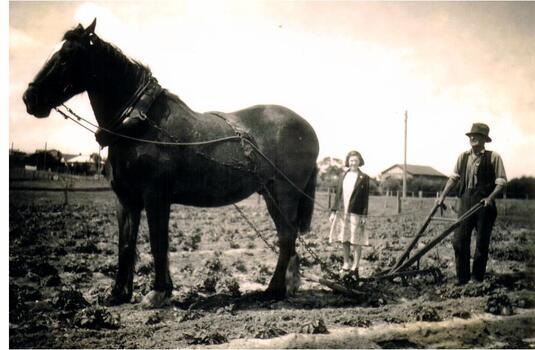 PHOTO higgins farm 002 c1930.jpg