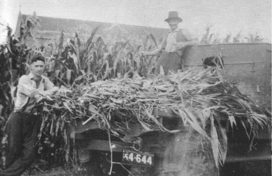 Alex Higgins at Jasper Road Farm c.1930s St Paul's RC Church in background.jpg