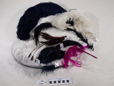 Clothing, Hat feathers x 8 c1910, c1910