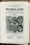 School Paper, Grades VII and VIIII, November 1920