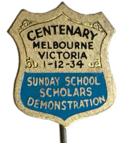 Sunday School Scholars Demonstration Pin