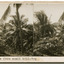 22	Kabakada, view from small hill-top