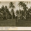 29	Vunairima, climbing coconut trees and cutting grass