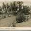 39	Raluana, view from Mission House