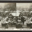 16,005	The open air fruit and vegetable market in the Palace Catherine, Brussels, Belgium. A characteristic Continental scene.
