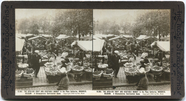 16,005	The open air fruit and vegetable market in the Palace Catherine, Brussels, Belgium. A characteristic Continental scene.