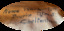 Name handwritten inside Nurse Warburton's Gladstone Bag