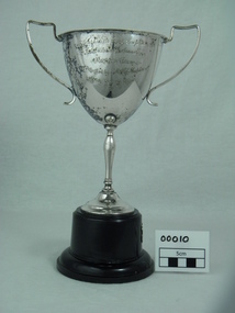 Trophy, 1955