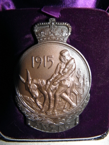 Medallion, Department of Defence, Mid 20th Century