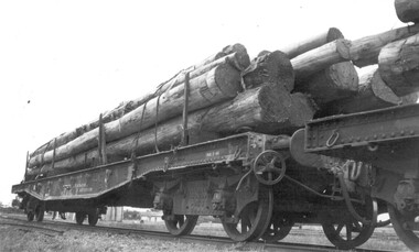 Photograph, A load of mocally grown Messmate piles ordered for Adelaide, n.d