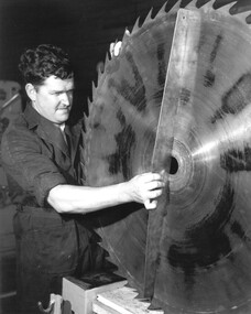 Photograph, Company's Head Sawdoctor, K. Schultz at work, n.d