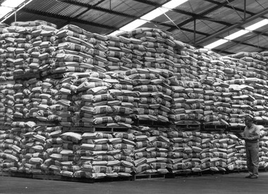 Photograph - Photograph -bagged goods stored in shed, n.d
