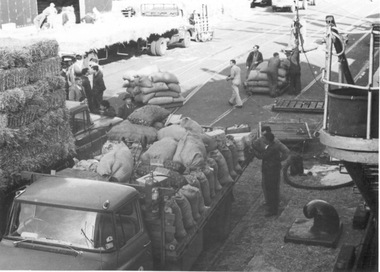 Photograph - Photograph - cargo being loaded by crane, 27/11/1975