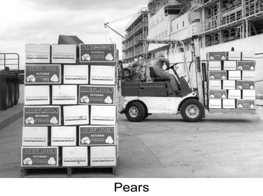 Photograph - Photograph - unloading pears, n.d