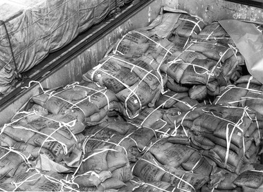 Photograph - Photograph - rail trucks filled with bagged coffee from Uganda, n.d