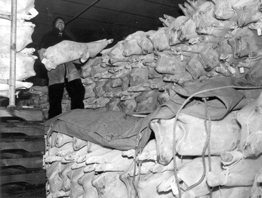 Photograph - Photograph - frozen meat for loading onto ship, n.d