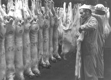 Photograph - Photograph - frozen meat, n.d
