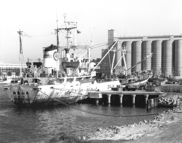 Photograph - Photograph - "Jahl" at dock to receive frozen goods, n.d