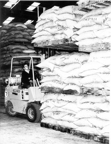 Photograph - Photograph - Shipping Motor Vehicles, n.d
