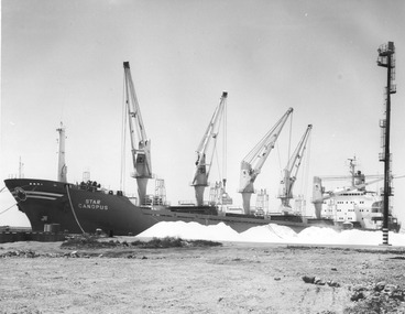 Photograph - Photograph - 'Star Canopus' discharging phosphate, n.d