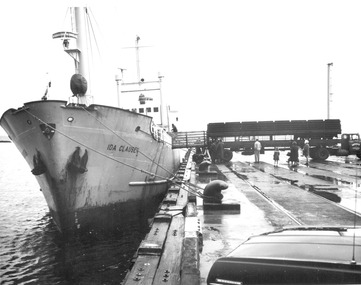 Photograph - Photograph - Cattle loaded onto live transport ship, n.d