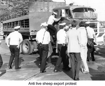 Photograph - Photograph - Protests against live sheep transport, n.d