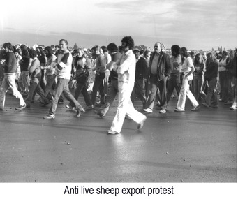 Photograph - Photograph - Protests against live sheep transport, n.d