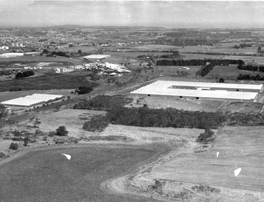 Photograph - Photographs - Australian Estates (Portland) Pty Ltd Wool Process & CSR Softwoods, n.d