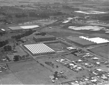 Photograph - Photograph - Southern Farmers & Australian Estates (Portland) Pty Ltd Wool Process, n.d