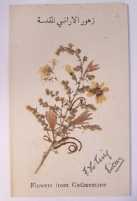 Domestic object - Bookmark, n.d