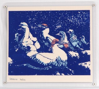 Print, Gannets, 1983-1984
